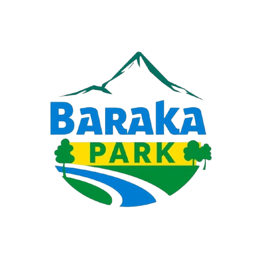 Parking Management System Logo